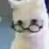 用户1174141227204头像