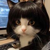 用户4003125088729头像