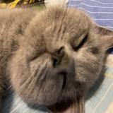 百万英雄消息头像