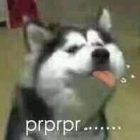 用户6556713591791头像