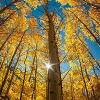 东来东往201头像