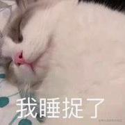 你不操心的个人资料头像