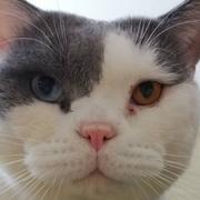 啊菠蘿20230101的个人资料头像