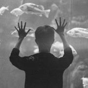 Pretend278的个人资料头像