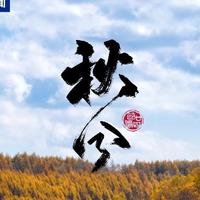 友爱钢琴vvA头像