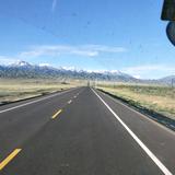 奋斗的蚂蚱857头像