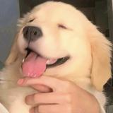 南暮冬日头像