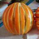 曼陀罗君的个人资料头像