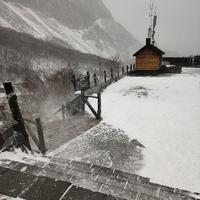 自强不息之爱海滔滔头像