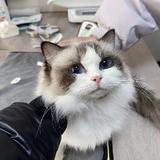 李三围头像