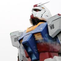 进取蛋糕4U9头像