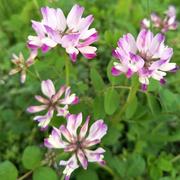 小尔6009的个人资料头像