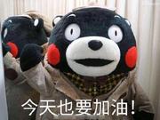 鲍小旺的个人资料头像