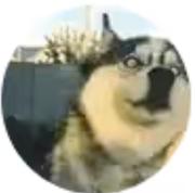 念头不通达的汪汪的个人资料头像