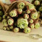 皮蛋467的个人资料头像