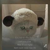 用户4607699824874头像