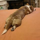 用户2767646173610头像