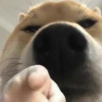 用户3986335740465头像