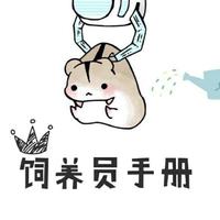 Ihaveaegg头像