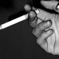 用户4287222417602头像