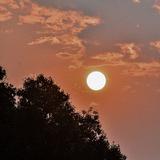 用户6561616342841头像