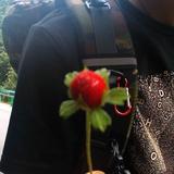 张永详260头像