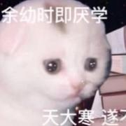 8258的个人资料头像
