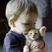 大隐纡野的个人资料头像