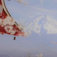 大田兜儿头像