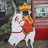 天天向上zhh头像