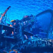 用户2966131590559的个人资料头像