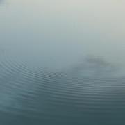 全栈工程师张工的个人资料头像