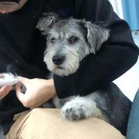 要每天都开心哟头像