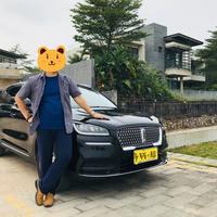 老王爱冒险头像