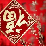 用户742317头像