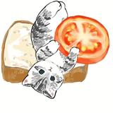 夏季的天空497头像