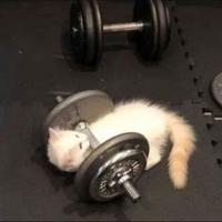 她梦毁他城头像