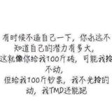 为理由找借口头像