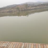 大气暖阳5z1头像