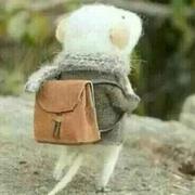 望亭楼1467595782000的个人资料头像