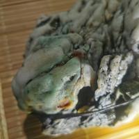 祁同伟—胜天半子头像