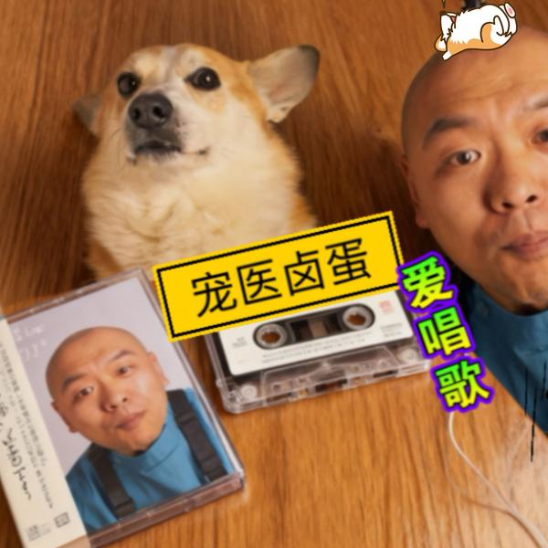 大雁哥房车旅行头像