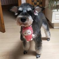 用户2075550024953头像