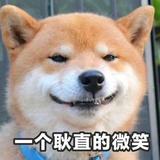 BIN3761头像