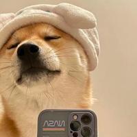 多才芒果fOs头像