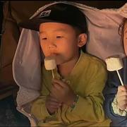 刘星宇833的个人资料头像