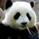 有点意思啊的个人资料头像