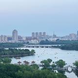 通通拿下8头像