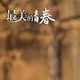 春哥妮子头像