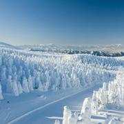 一个义字我在乎的个人资料头像